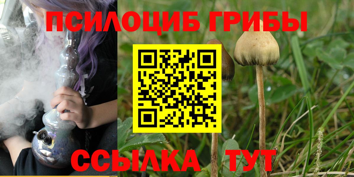 Галлюциногенные грибы прущие грибы Горячий Ключ